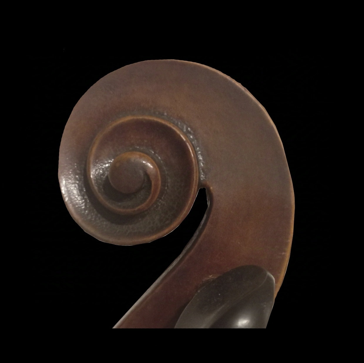 Jakub William Gráf – cellist